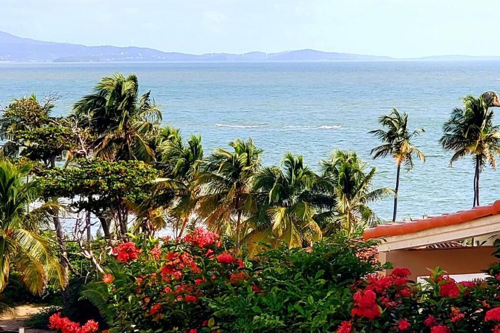 Portobello Palmanova, Palmas Del Mar, Humacao, Pr 외부 사진